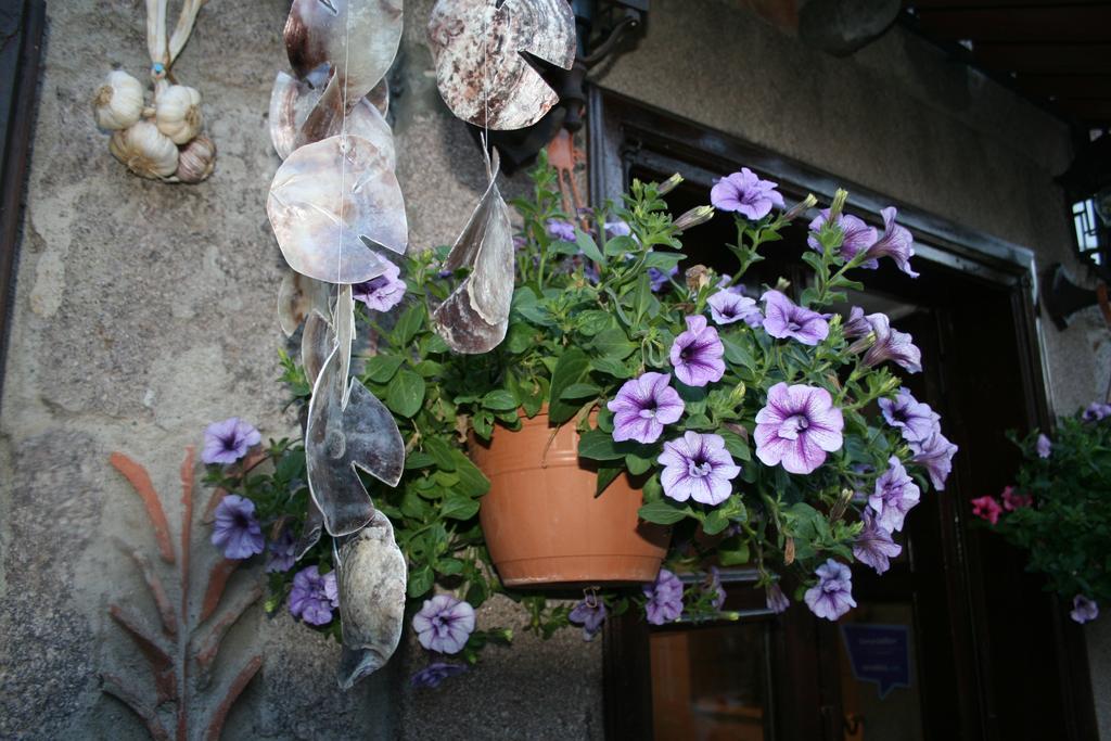 Assos Bohemian Hotel Kültér fotó