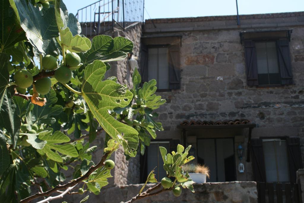 Assos Bohemian Hotel Kültér fotó